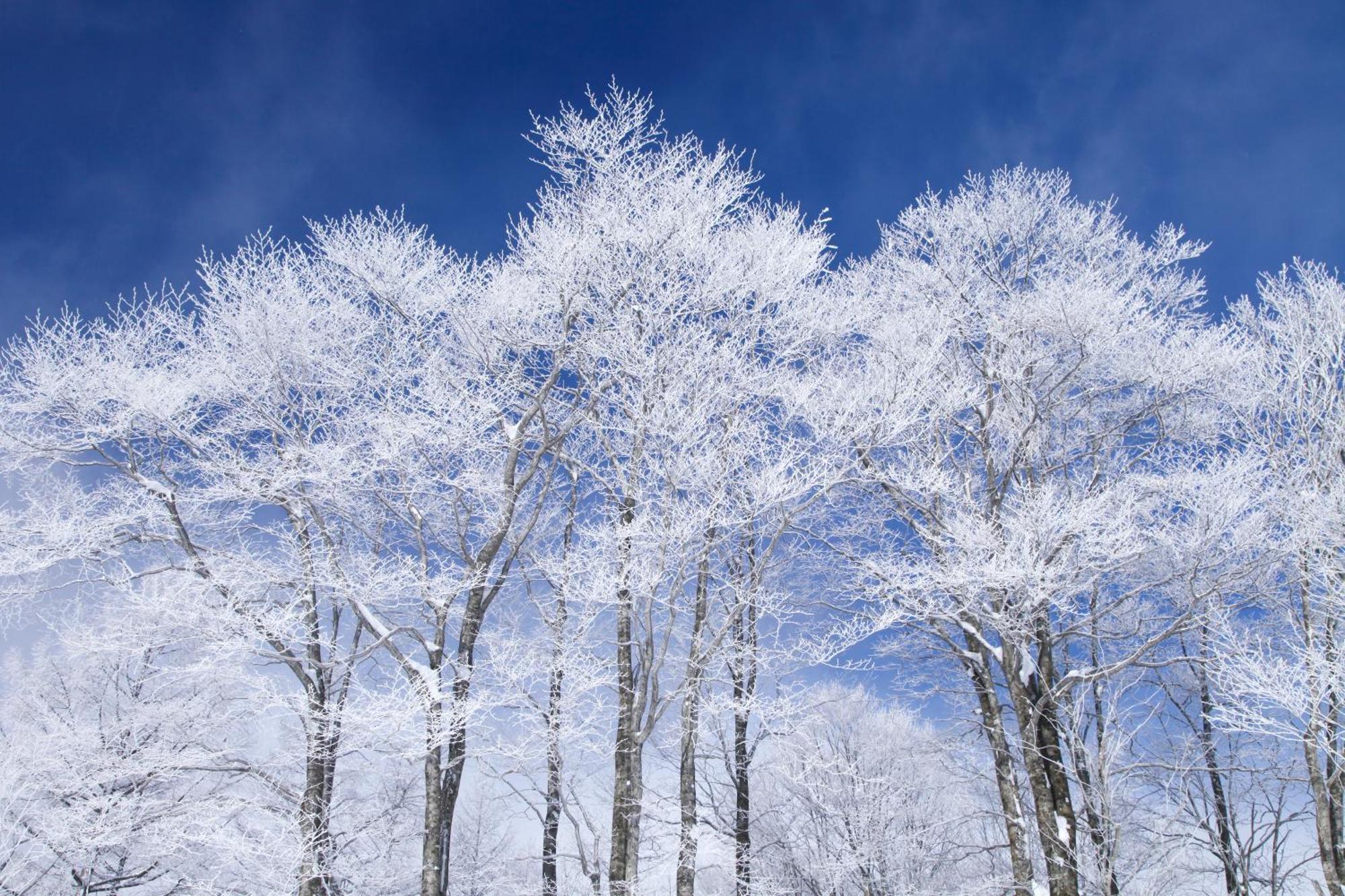 Hakuba Hatago Maruhachi Esterno foto