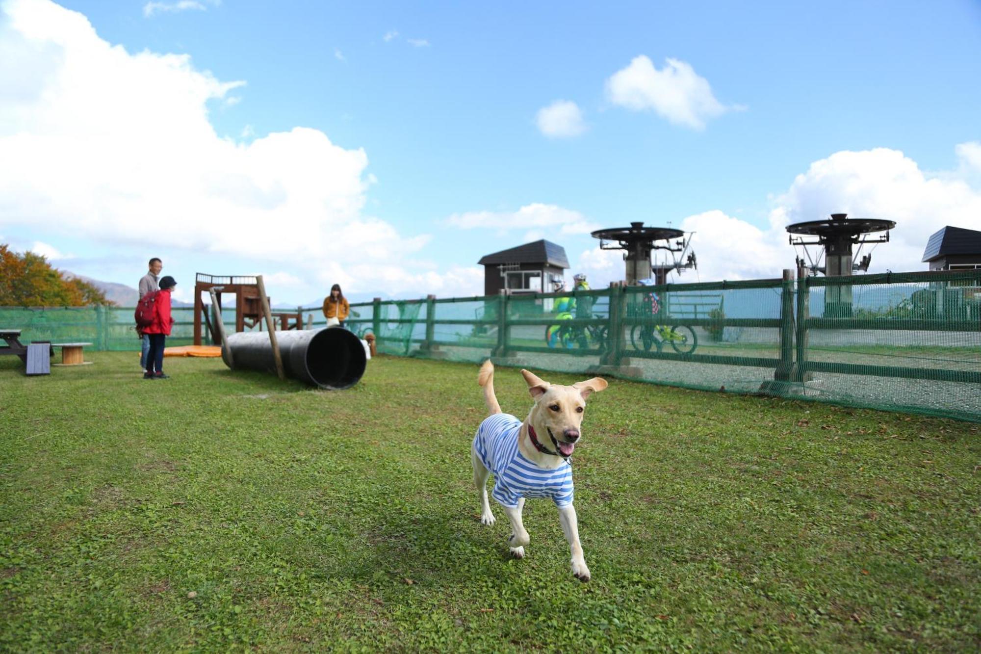 Hakuba Hatago Maruhachi Esterno foto
